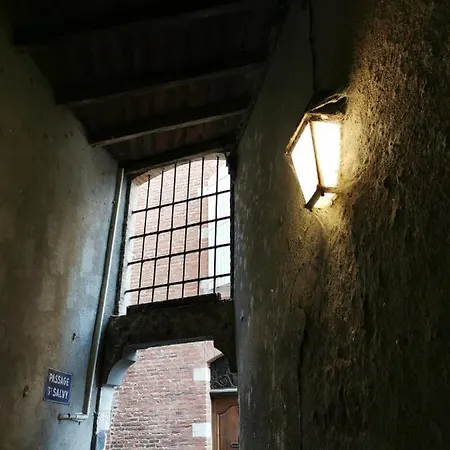 Le Peyroulmet Apartamento Albi